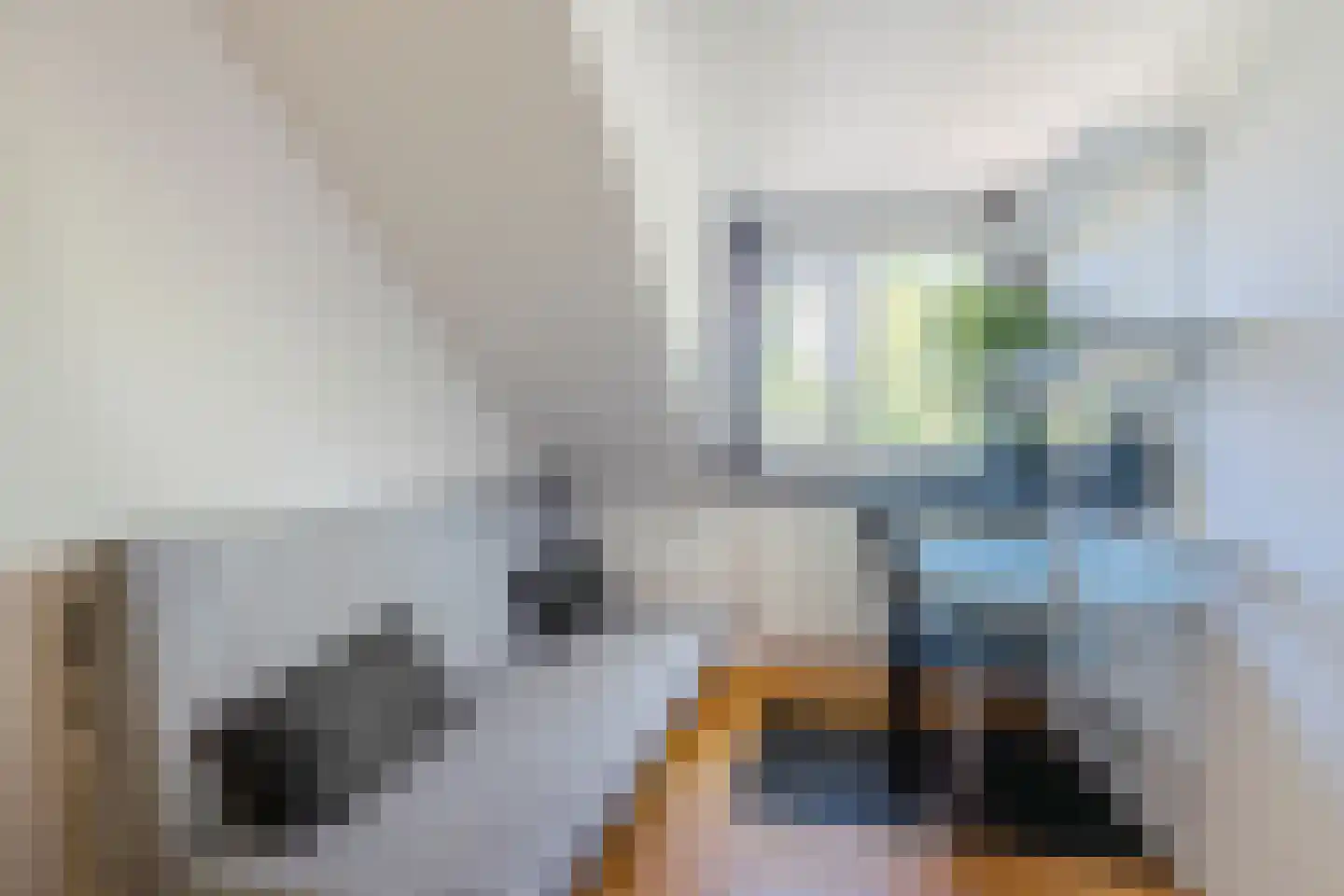 Palingstraat 12 Eindhoven thumbnail 33
