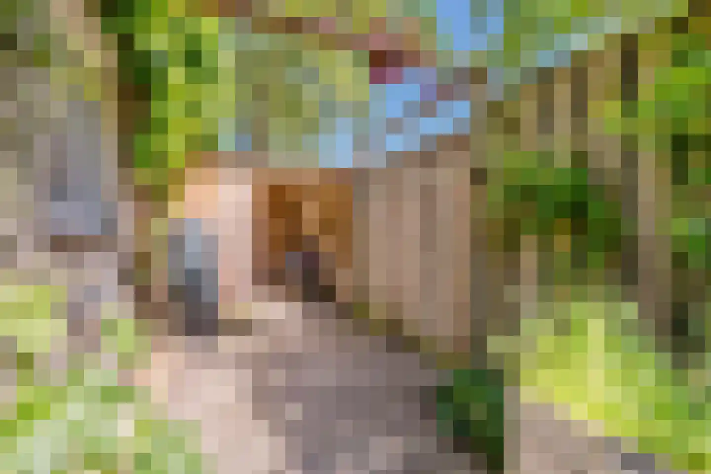 Palingstraat 12 Eindhoven thumbnail 36