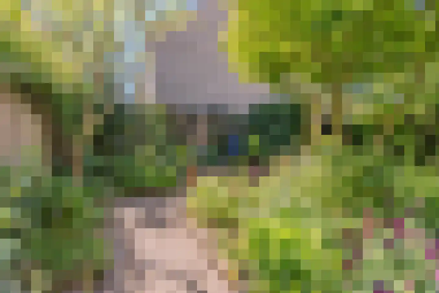 Palingstraat 12 Eindhoven thumbnail 37
