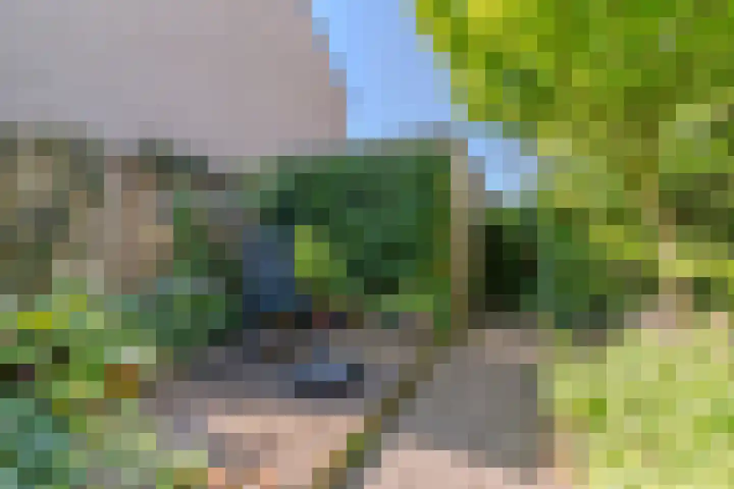Palingstraat 12 Eindhoven thumbnail 38