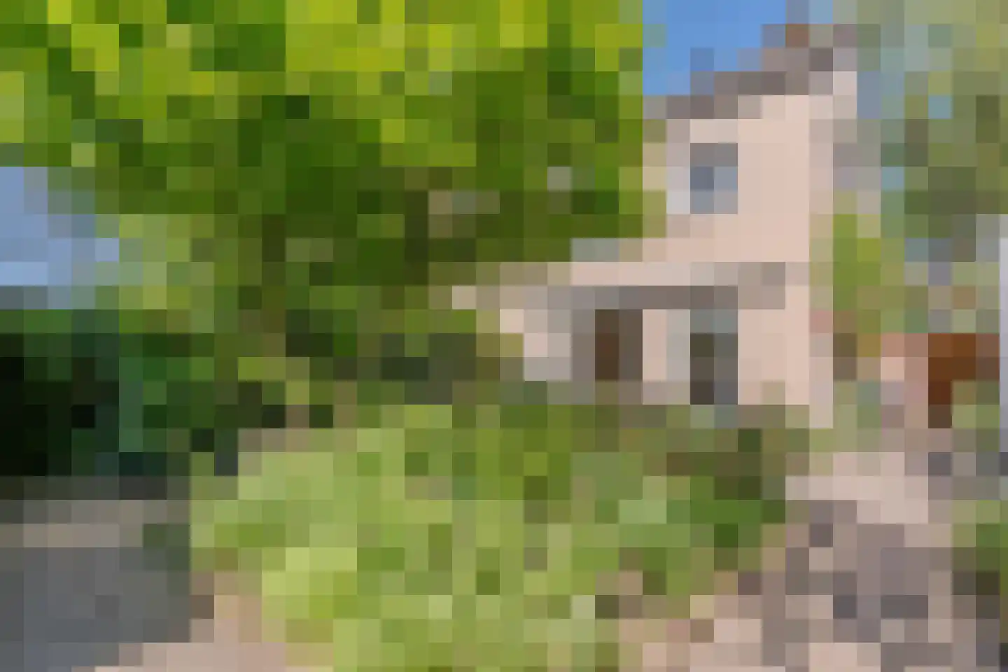 Palingstraat 12 Eindhoven thumbnail 39