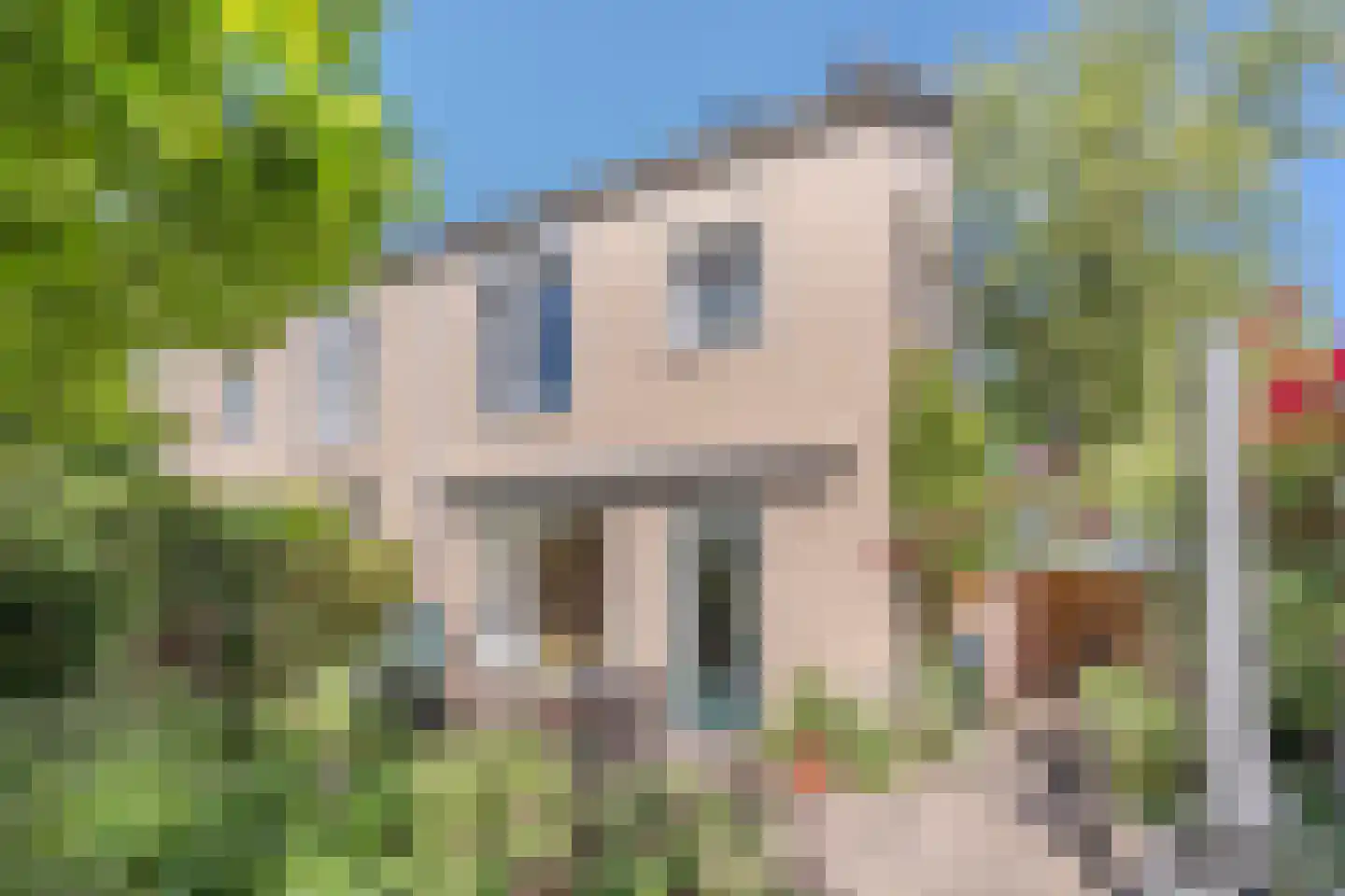 Palingstraat 12 Eindhoven thumbnail 40