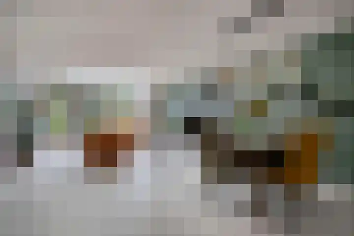 Palingstraat 15 Bergen op Zoom thumbnail 10