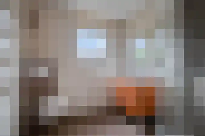 Palingstraat 15 Bergen op Zoom thumbnail 28