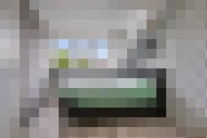 Palingstraat 15 Bergen op Zoom thumbnail 32