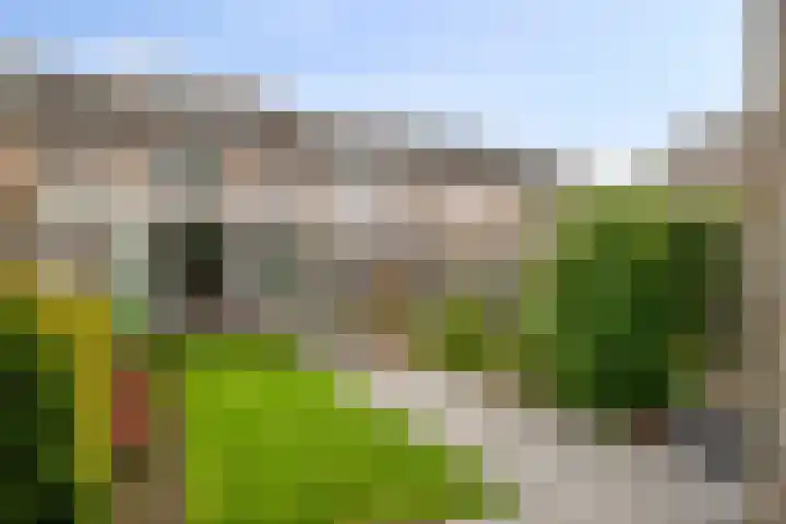 Palingstraat 15 Bergen op Zoom thumbnail 34