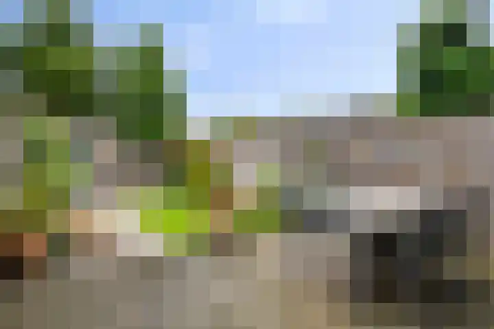 Palingstraat 15 Bergen op Zoom thumbnail 35