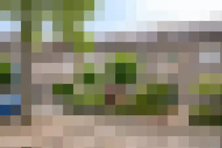 Palingstraat 15 Bergen op Zoom thumbnail 44