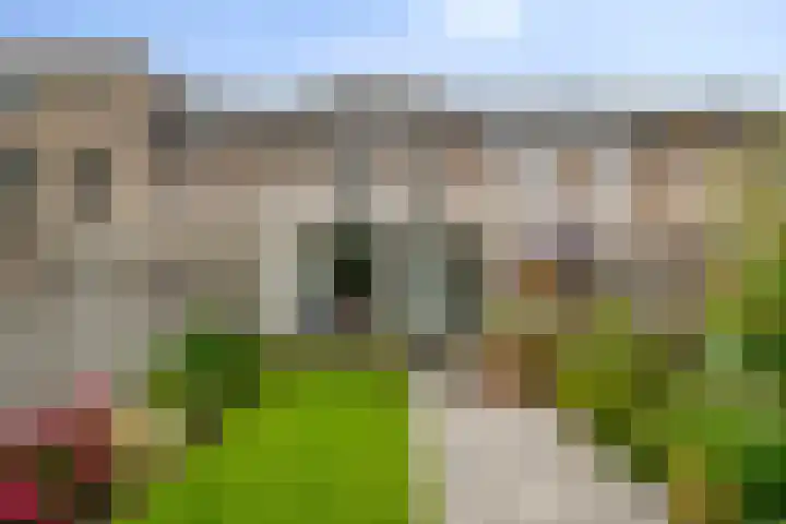 Palingstraat 15 Bergen op Zoom thumbnail 6