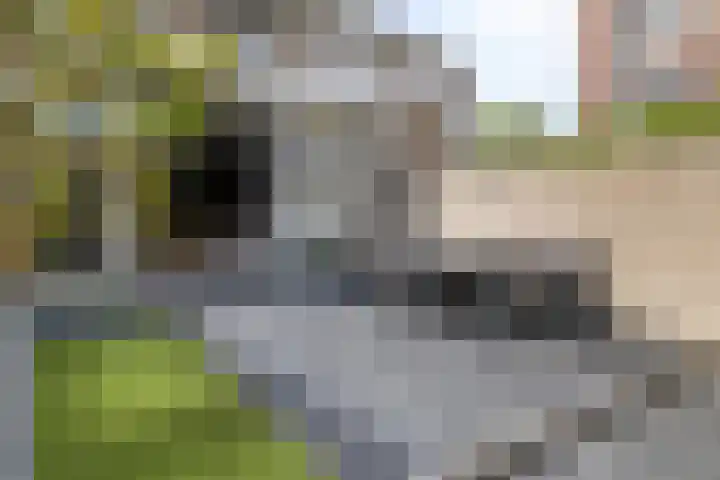 Palingstraat 3 Bergen op Zoom thumbnail 33
