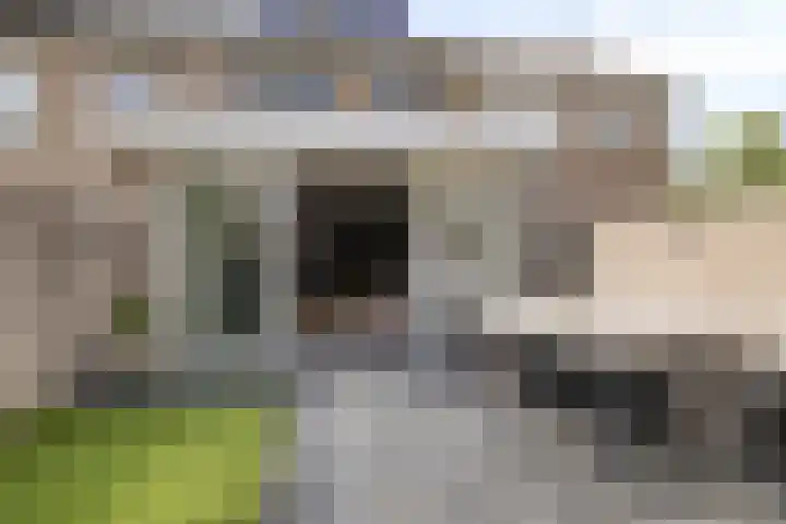 Palingstraat 3 Bergen op Zoom thumbnail 34