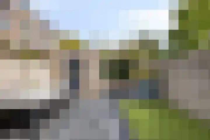 Palingstraat 3 Bergen op Zoom thumbnail 35
