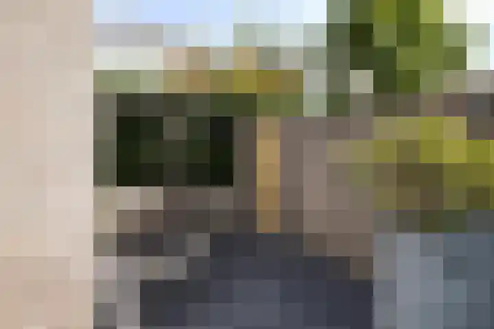 Palingstraat 3 Bergen op Zoom thumbnail 38