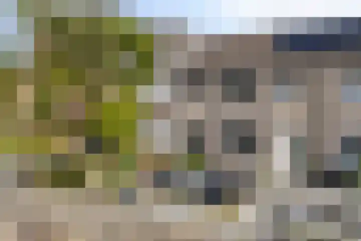 Palingstraat 3 Bergen op Zoom thumbnail 41