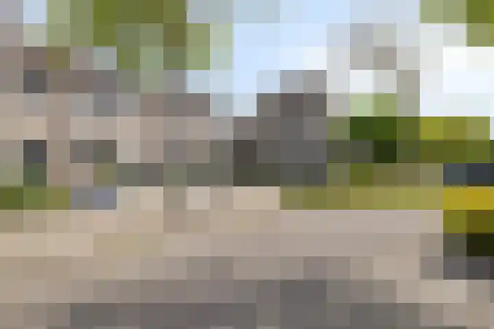 Palingstraat 3 Bergen op Zoom thumbnail 42