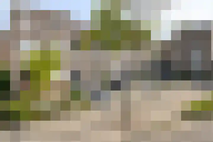 Palingstraat 3 Bergen op Zoom thumbnail 43