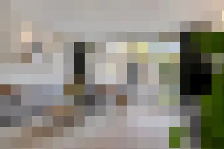 Palingstraat 3 Bergen op Zoom thumbnail 8