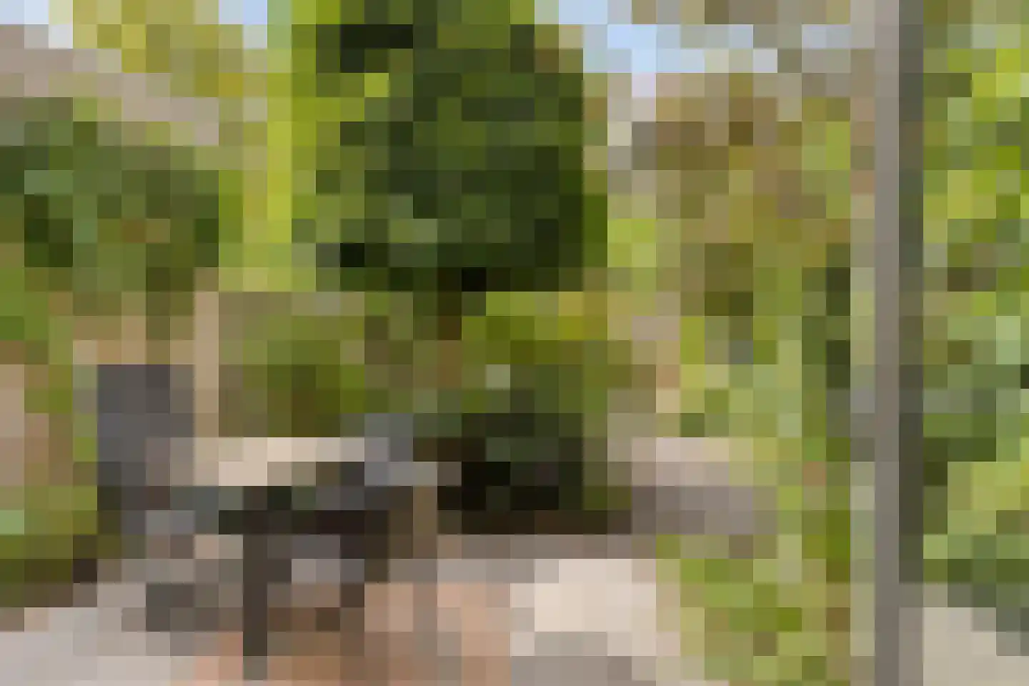 Palingstraat 32 Eindhoven thumbnail 23
