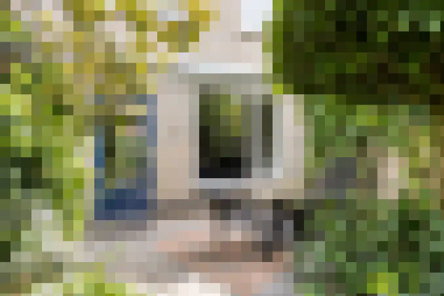 Palingstraat 32 Eindhoven thumbnail 24