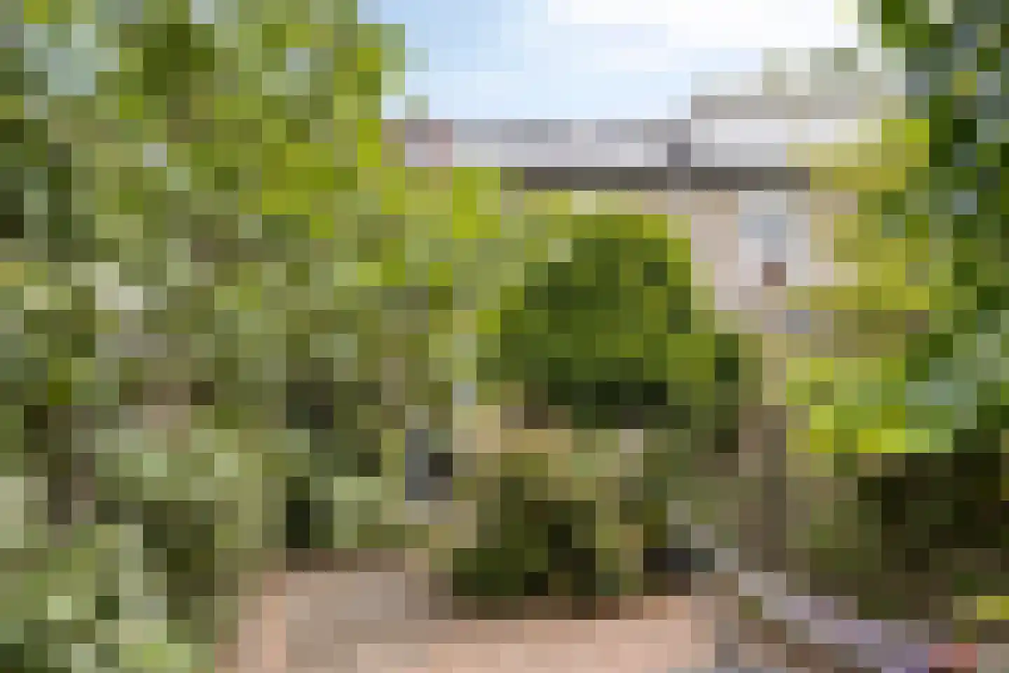 Palingstraat 32 Eindhoven thumbnail 26