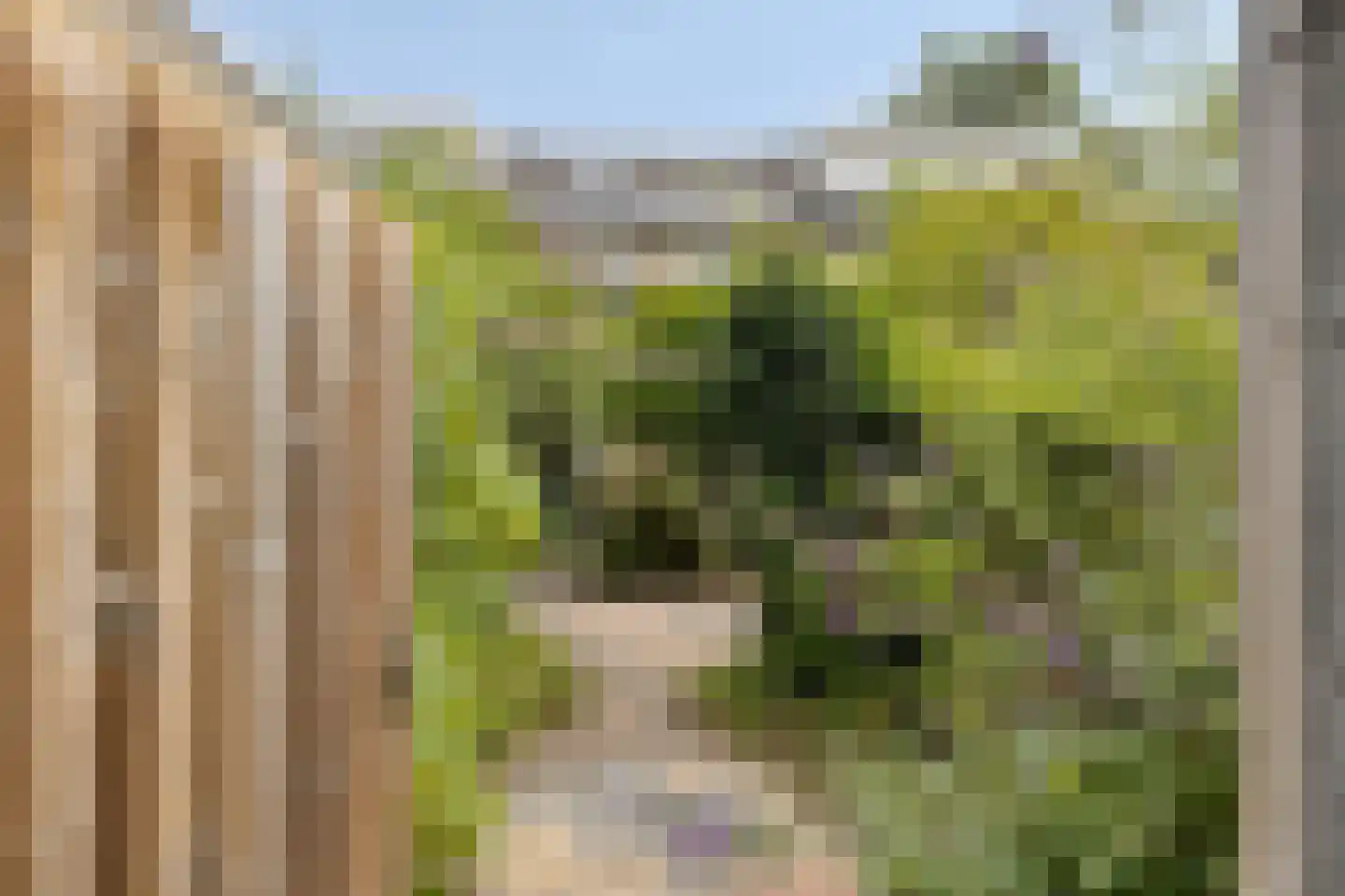 Palingstraat 32 Eindhoven thumbnail 27