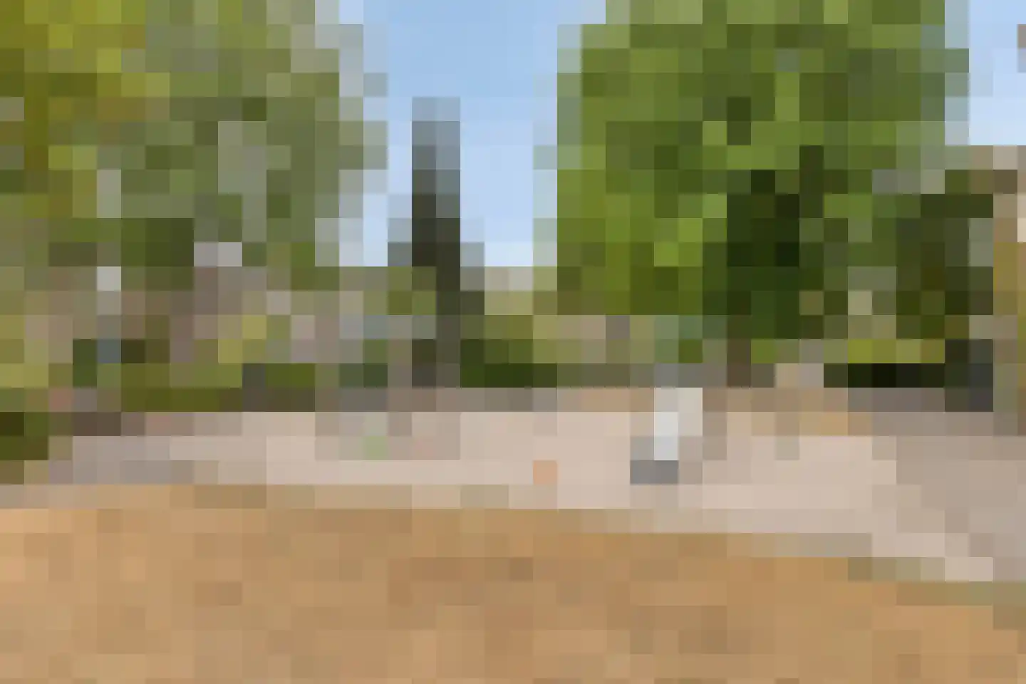 Palingstraat 32 Eindhoven thumbnail 29