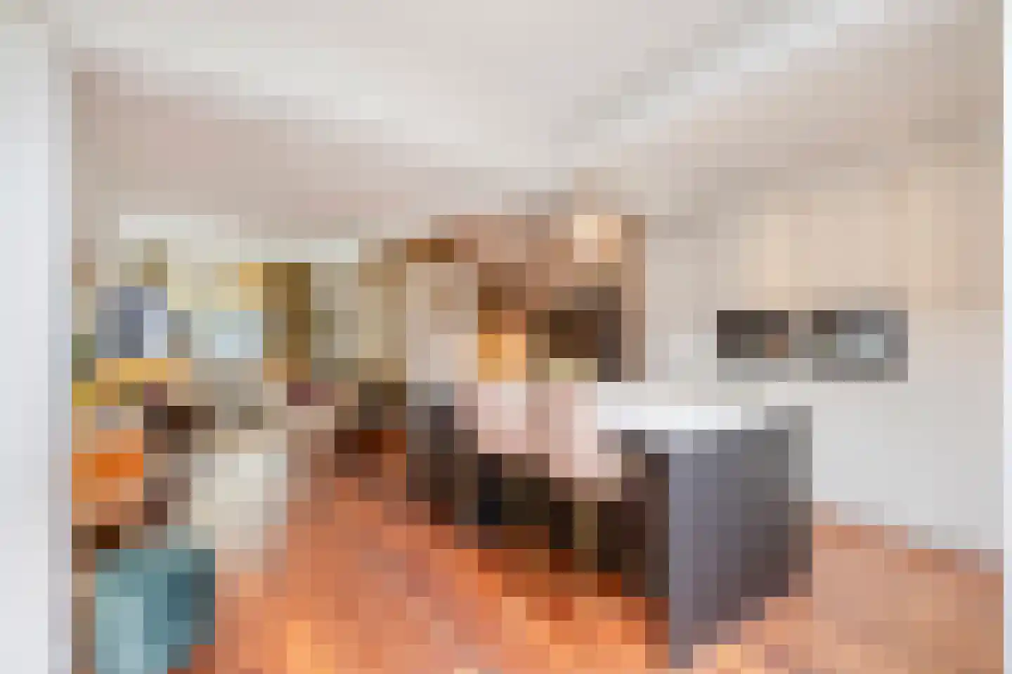 Palingstraat 33 Eindhoven thumbnail 10