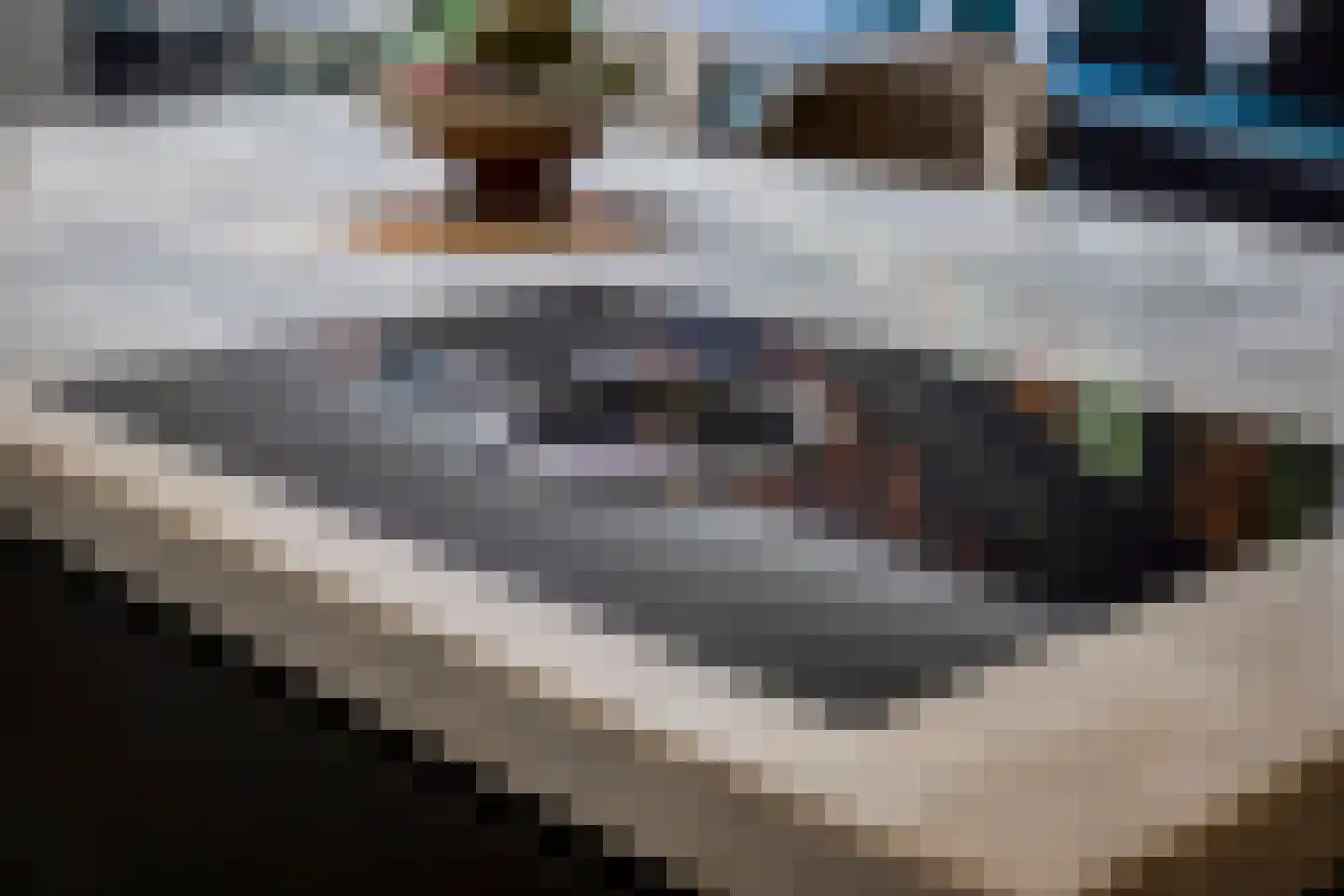 Palingstraat 33 Eindhoven thumbnail 13