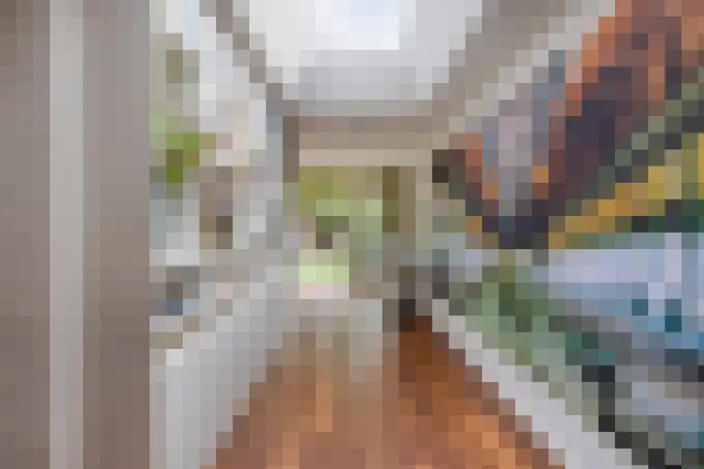 Palingstraat 33 Eindhoven thumbnail 15