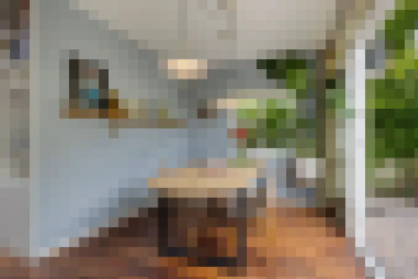 Palingstraat 33 Eindhoven thumbnail 18