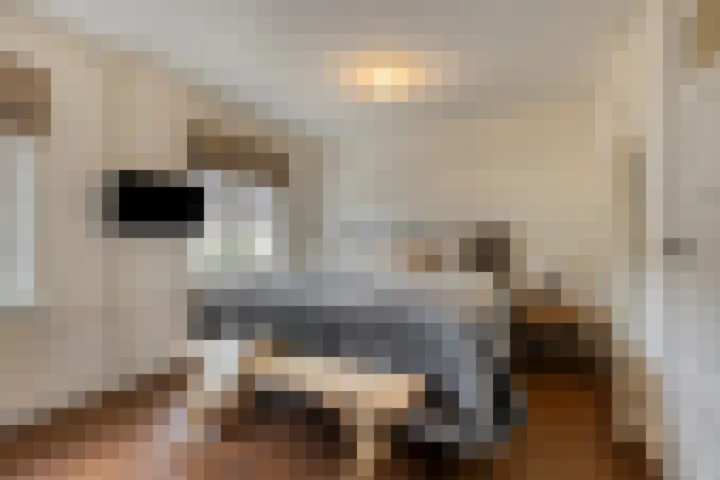 Palingstraat 33 Eindhoven thumbnail 24
