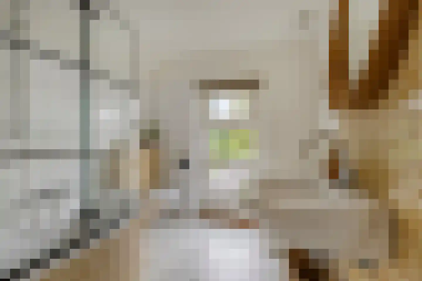 Palingstraat 33 Eindhoven thumbnail 27