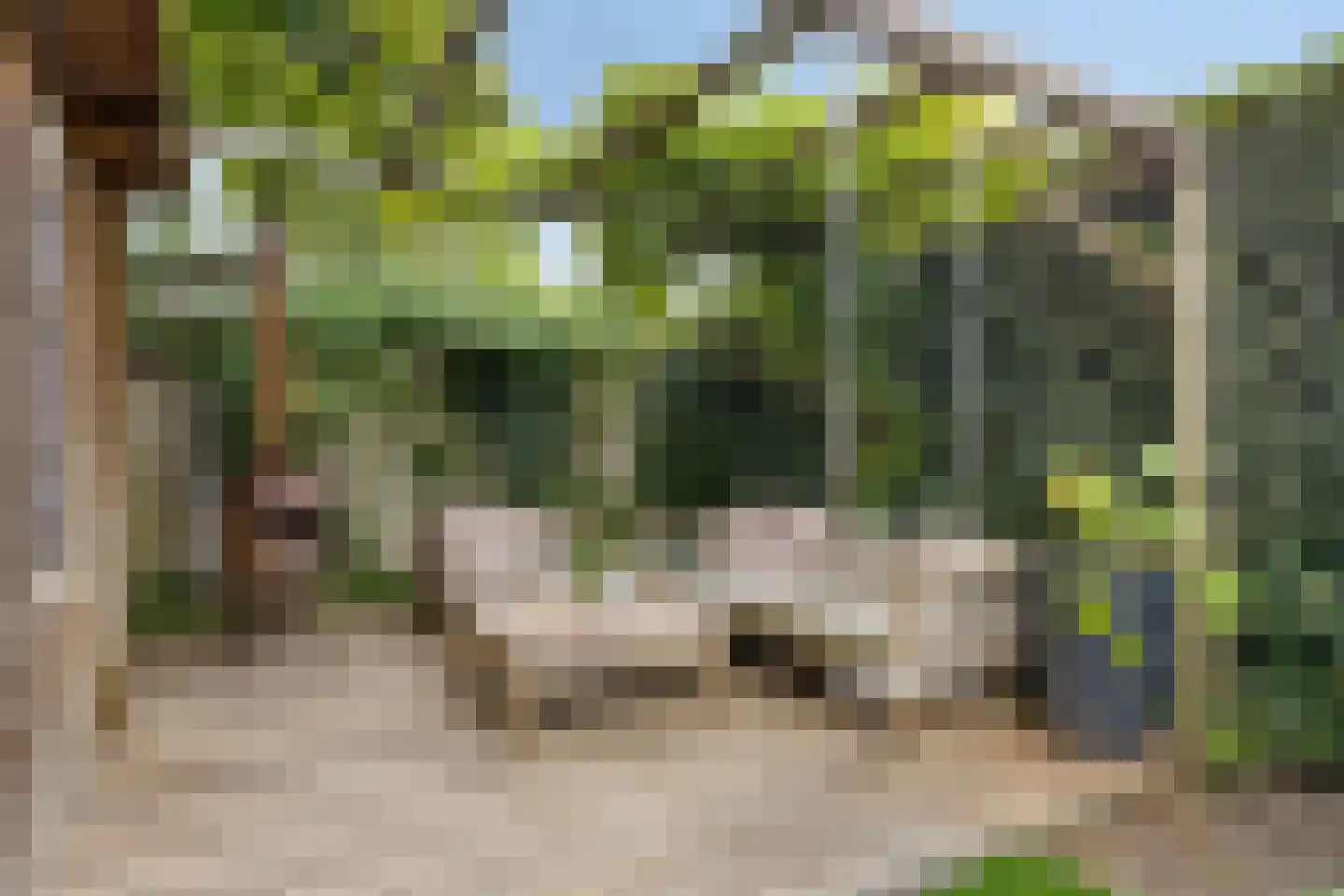 Palingstraat 33 Eindhoven thumbnail 37