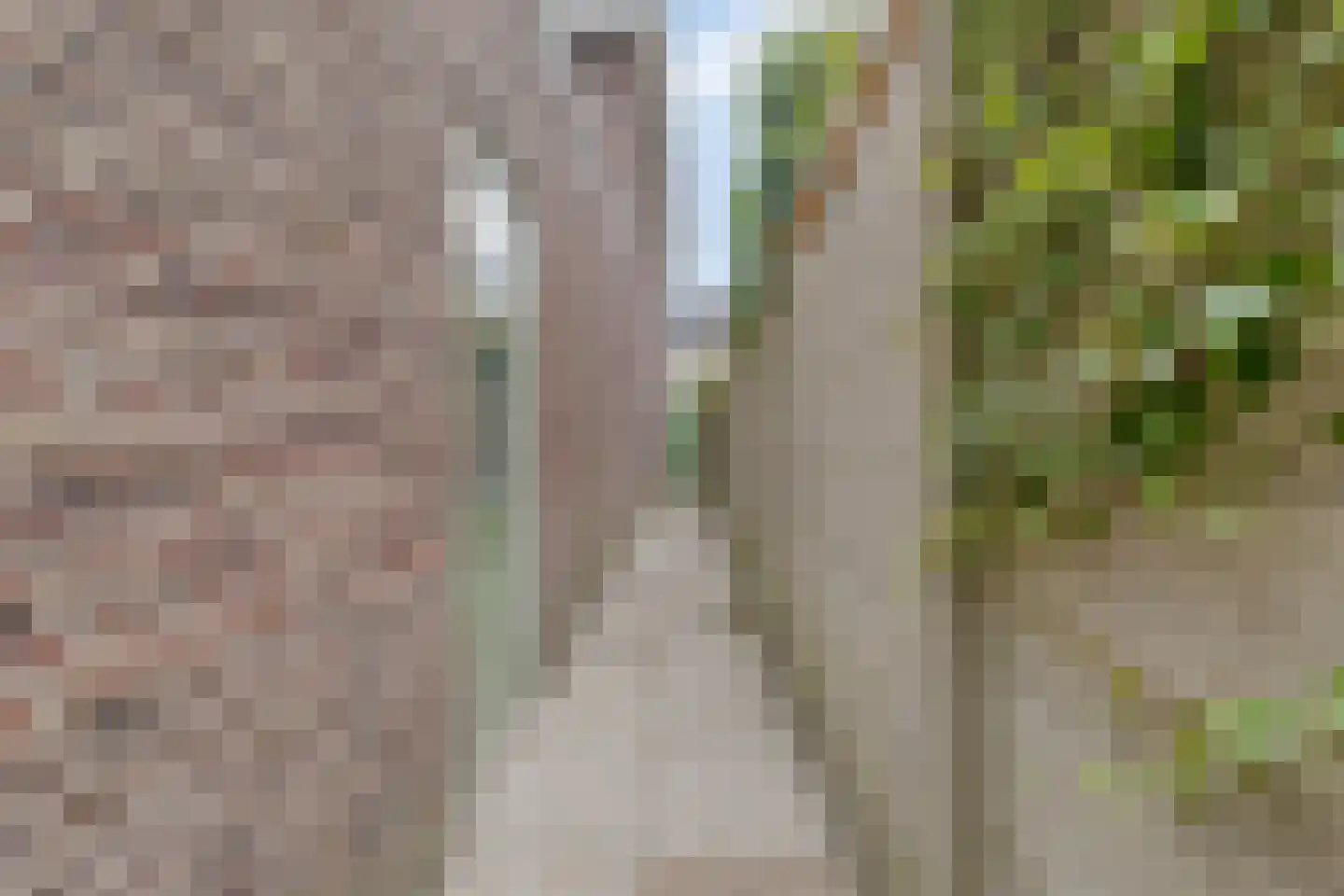 Palingstraat 33 Eindhoven thumbnail 41