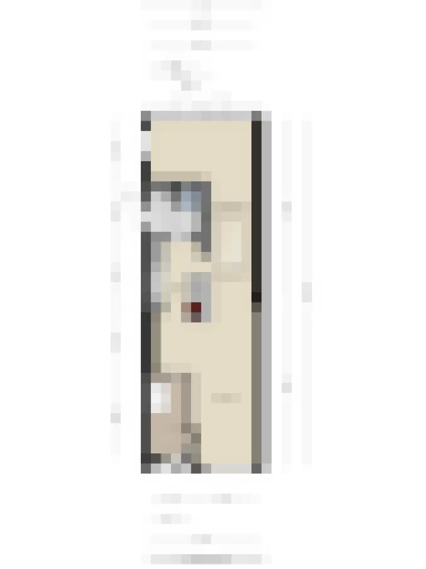 Palingstraat 33 Eindhoven thumbnail 42