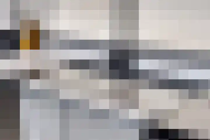 Palingstraat 46 Eindhoven thumbnail 10