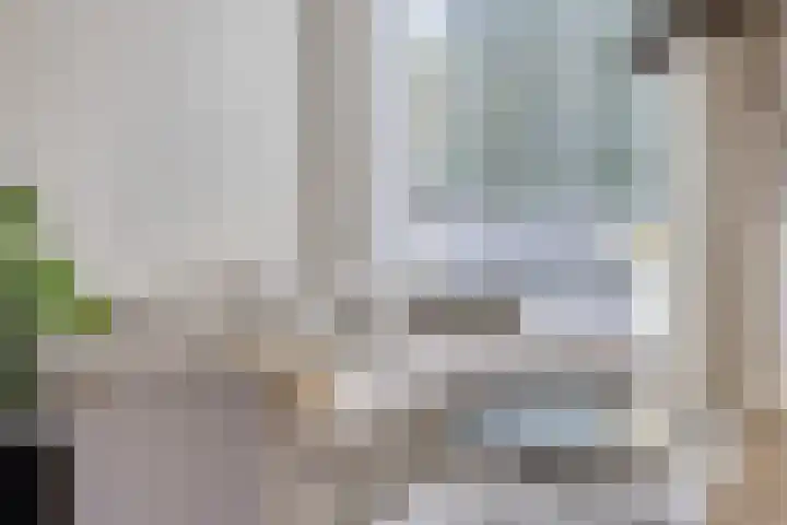 Palingstraat 46 Eindhoven thumbnail 12