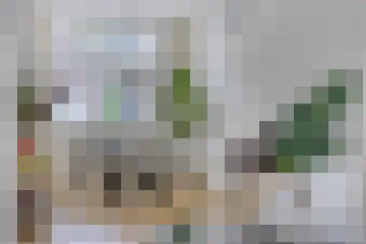 Palingstraat 46 Eindhoven thumbnail 13