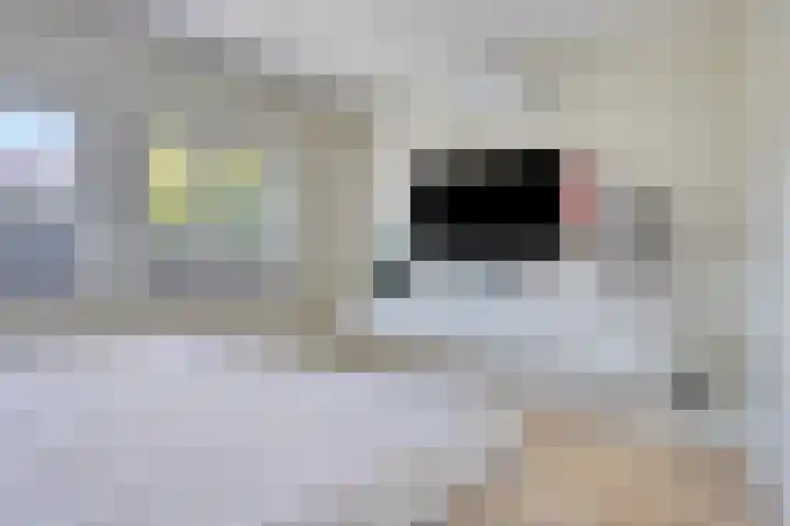 Palingstraat 46 Eindhoven thumbnail 17