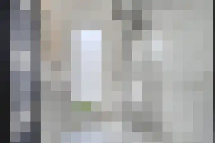Palingstraat 46 Eindhoven thumbnail 18
