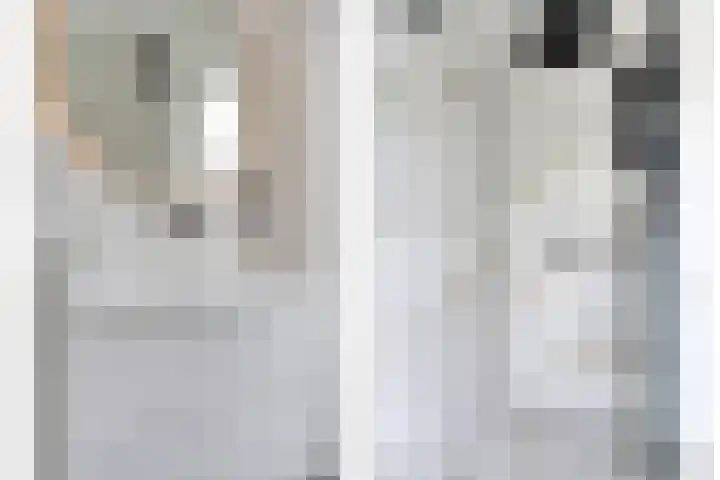 Palingstraat 46 Eindhoven thumbnail 19
