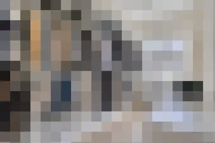 Palingstraat 46 Eindhoven thumbnail 20