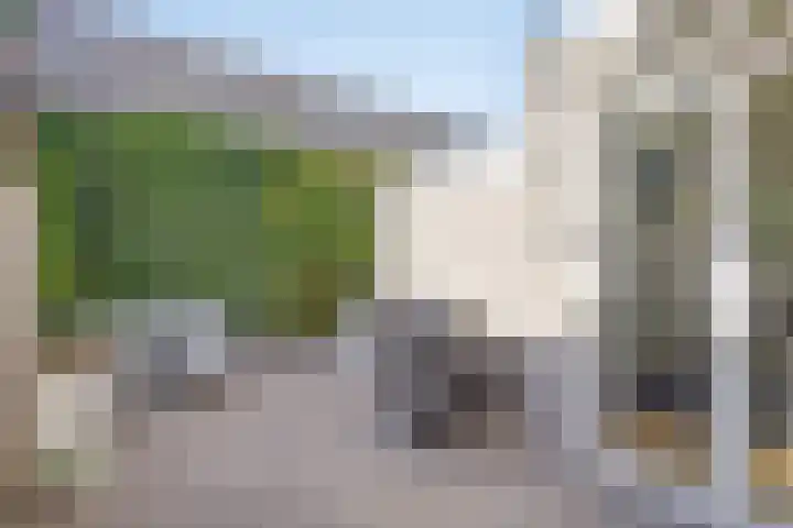 Palingstraat 46 Eindhoven thumbnail 23
