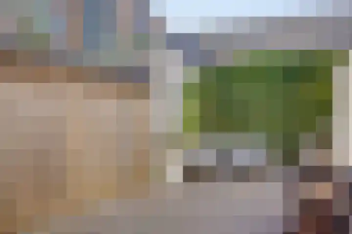Palingstraat 46 Eindhoven thumbnail 24