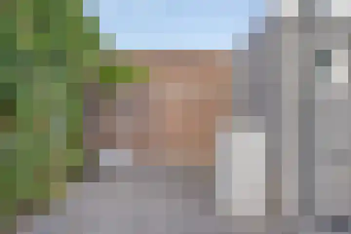 Palingstraat 46 Eindhoven thumbnail 28