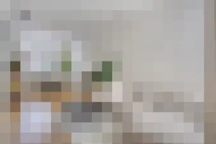 Palingstraat 46 Eindhoven thumbnail 4