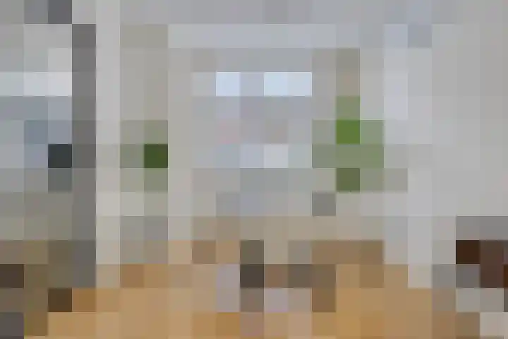 Palingstraat 46 Eindhoven thumbnail 5