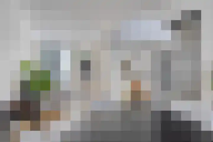 Palingstraat 46 Eindhoven thumbnail 7