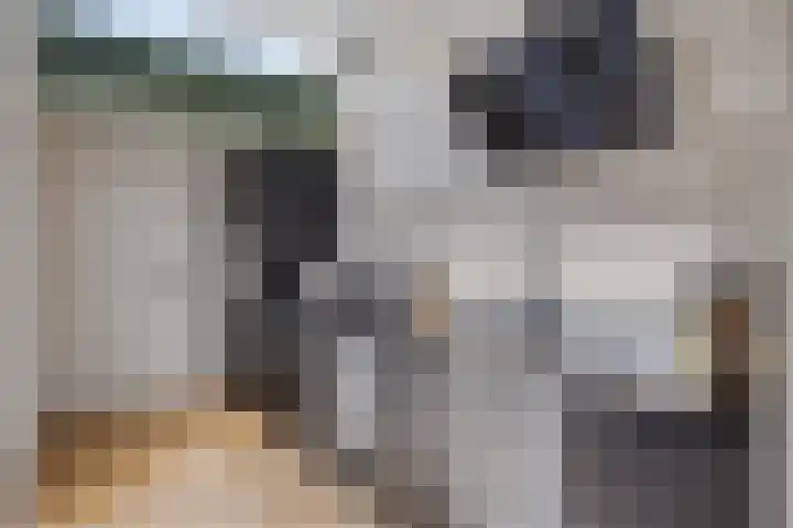 Palingstraat 46 Eindhoven thumbnail 8