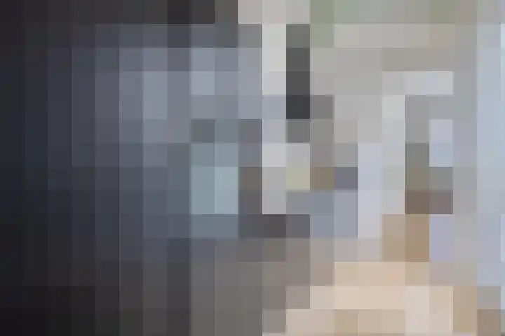 Palingstraat 46 Eindhoven thumbnail 9